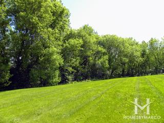 Eagle Ridge subdivision in Algonquin, IL