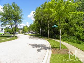 Eagle Ridge subdivision in Algonquin, IL