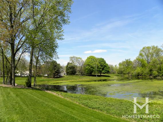 Falcon Ridge subdivision in Algonquin, IL