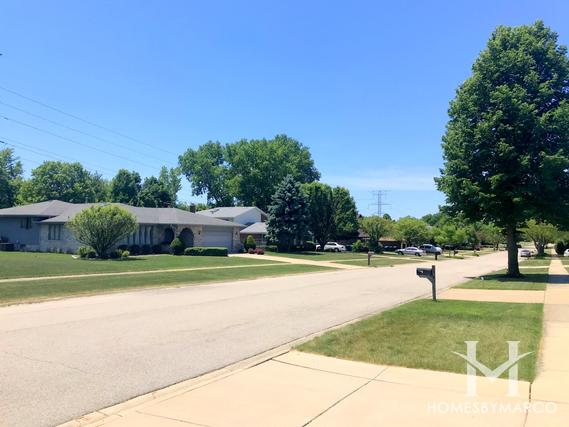 Old Oak West subdivision in Homer Glen, IL