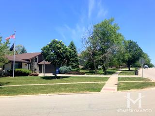Old Oak West subdivision in Homer Glen, IL