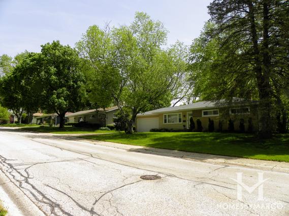 Janak subdivision in Algonquin, IL