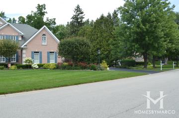 Carriage Trail subdivision in Barrington, IL