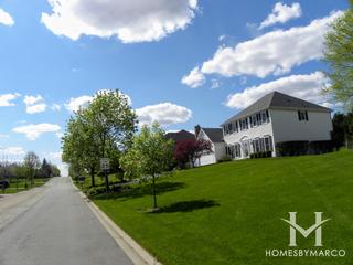 Terrace Hill subdivision in Algonquin, IL