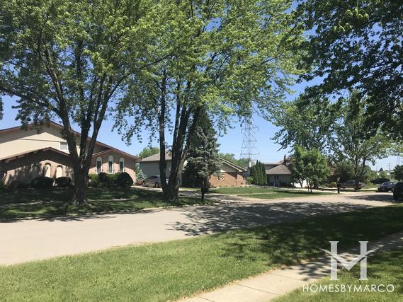 Michael's Place subdivision in Homer Glen, IL