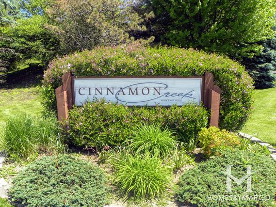 Photos of Cinnamon Creek Estates subdivision in Homer Glen, IL