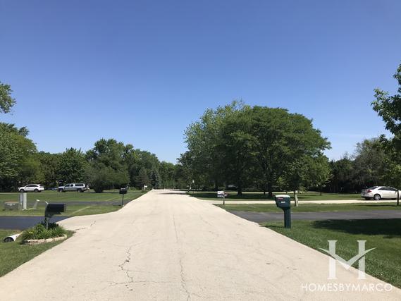 Spaniel Woods subdivision in Homer Glen, IL