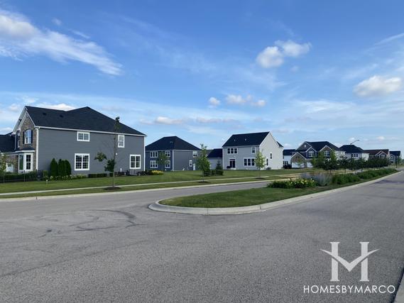 Ponds of Stony Creek subdivision in Elgin, IL