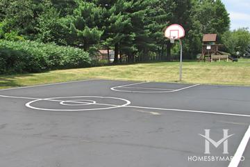 Prairie Ridge subdivision in Crystal Lake, IL