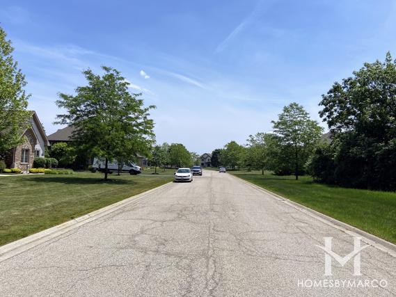 Hawthorn Ridge subdivision in Hawthorn Woods, IL