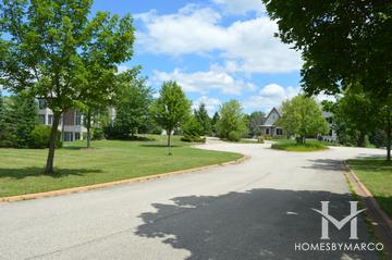 Abbey Woods subdivision in Barrington, IL