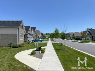 Villas at Willow Pointe subdivision in Lemont, IL