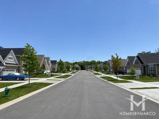 Villas at Willow Pointe subdivision in Lemont, IL