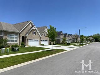 Villas at Willow Pointe subdivision in Lemont, IL