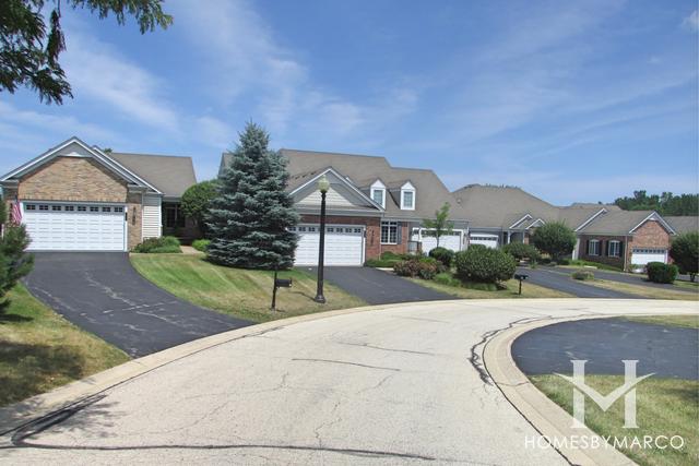Terra Villa subdivision in Crystal Lake, IL