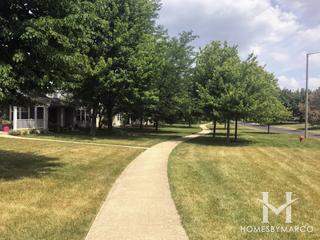 Ogden Falls subdivision in Oswego, IL