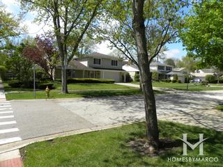 Willows subdivision in Glenview, IL