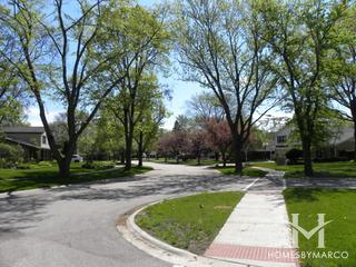 Willows subdivision in Glenview, IL