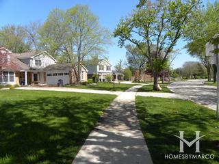 Willows subdivision in Glenview, IL