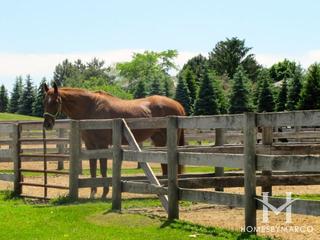 Hunt Club Farms subdivision in Gurnee, IL