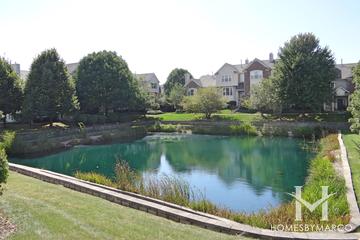 Greenwood Place subdivision in Arlington Heights, IL
