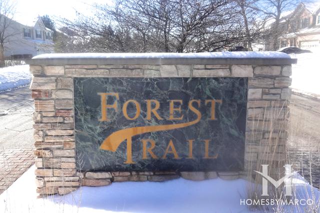 Forest Trail subdivision in Lindenhurst, IL