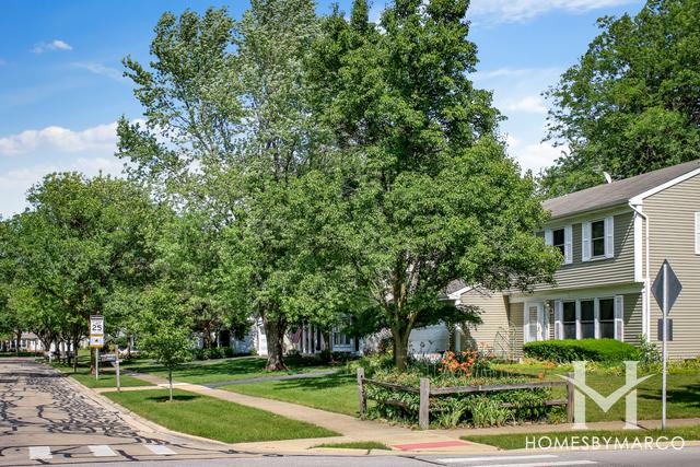 Old Sawmill subdivision in Naperville, IL