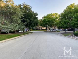 Evergreen Woods subdivision in Mount Prospect, IL