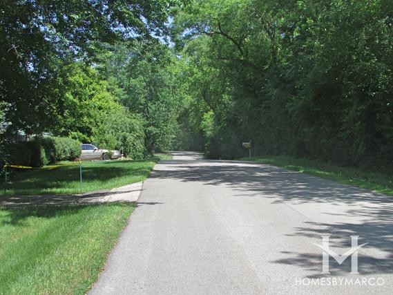 Pleasant View subdivision in Cary, IL