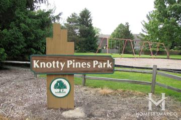 The Pines subdivision in Cary, IL