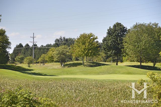 Carillon North subdivision in Grayslake, IL