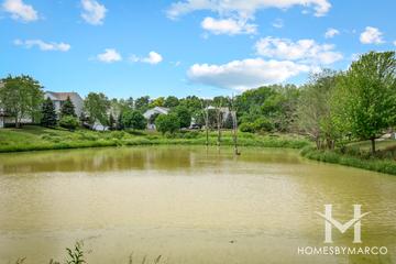 Terra Springs subdivision in Volo, IL