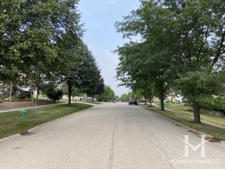 Carriage Ridge subdivision in Lemont, IL