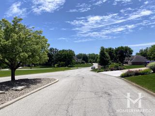 Foxmoor Estates subdivision in Lemont, IL