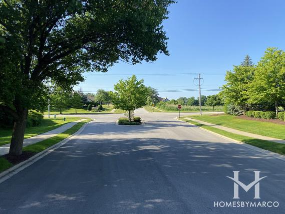 Keepataw Trails subdivision in Lemont, IL