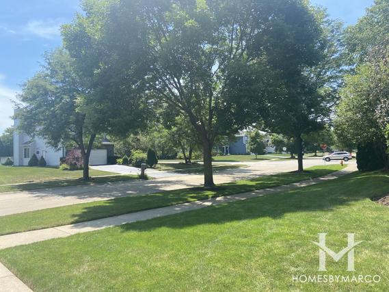 Photos of Ivy Ridge subdivision in Naperville, IL