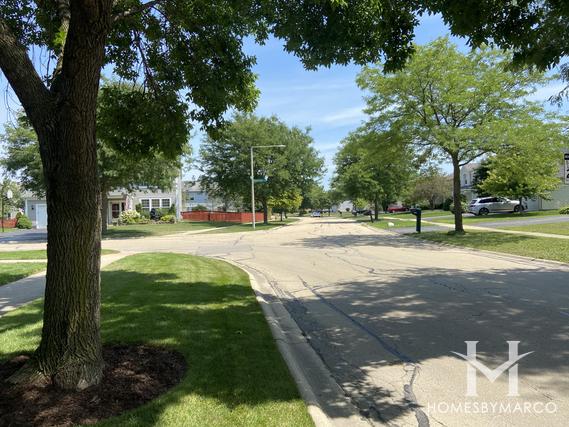 Ivy Ridge subdivision in Naperville, IL