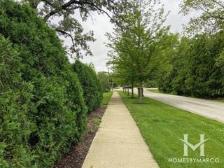Woods of Roselle subdivision in Roselle, IL