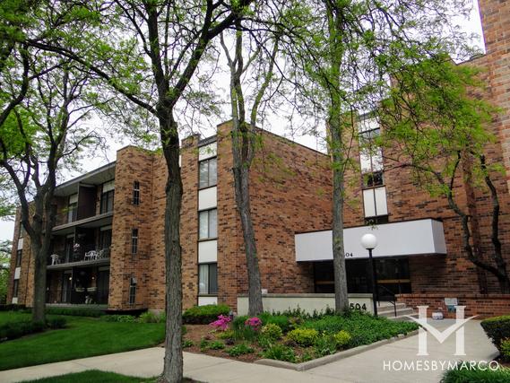 Pinetree subdivision in Homewood, IL