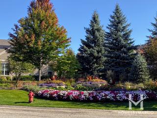 Weatherstone subdivision in Inverness, IL