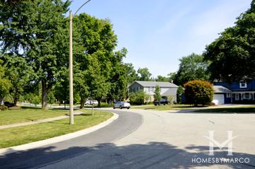 Pebble Creek subdivision in Palatine, IL