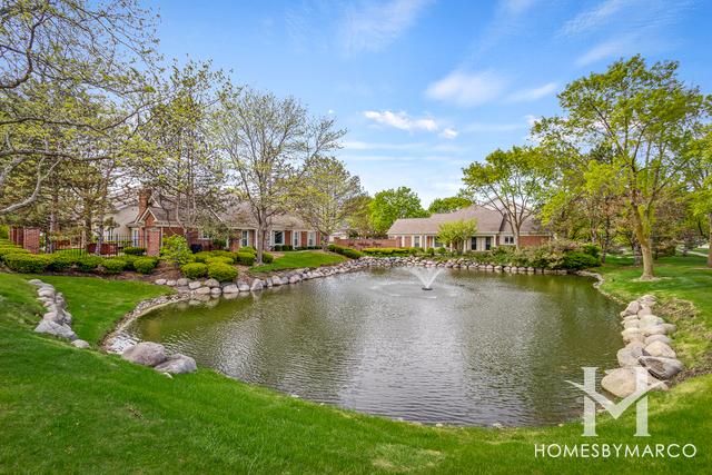 Lake Arlington Towne subdivision in Arlington Heights, IL