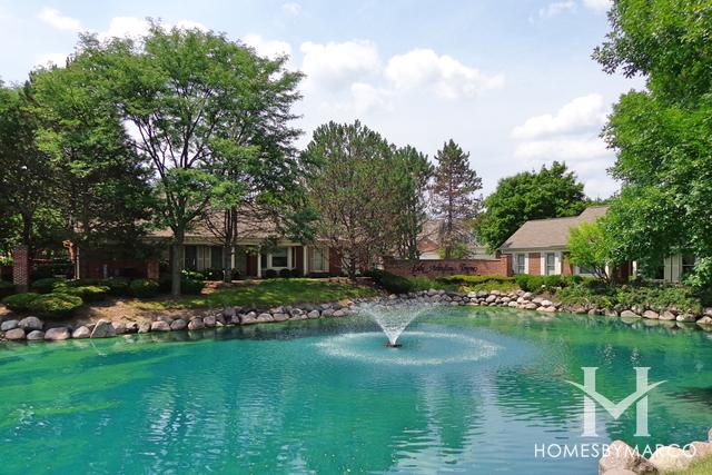 Lake Arlington Towne subdivision in Arlington Heights, IL