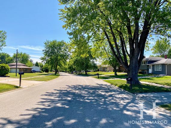 Port Ridge subdivision in Lockport, IL