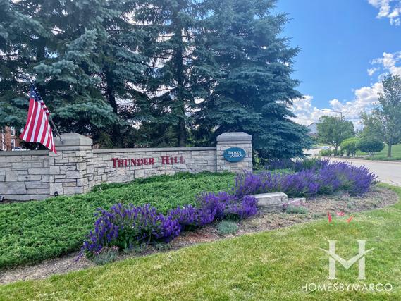 Photos of Thunder Hill subdivision in Lockport, IL