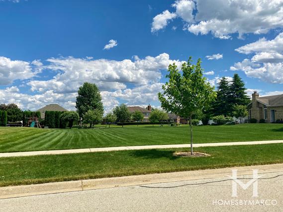 Thunder Hill subdivision in Lockport, IL