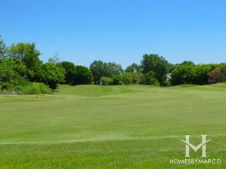Bittersweet Woods subdivision in Gurnee, IL