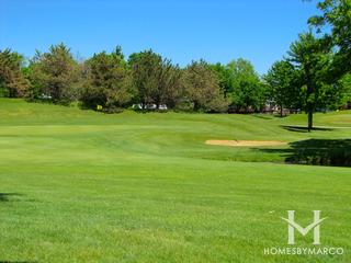 Bittersweet Woods subdivision in Gurnee, IL