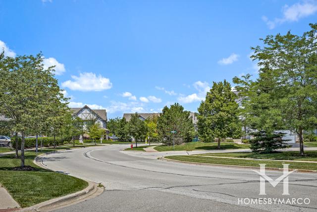 Concord Village subdivision in Lake Zurich, IL