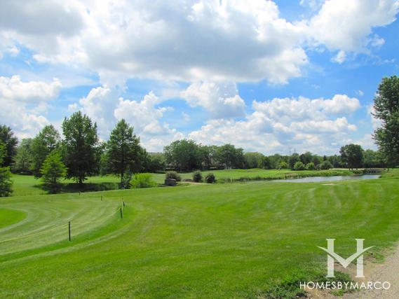 Woodlands of Fiore subdivision in Buffalo Grove, IL